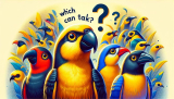 welke vogels kunnen praten